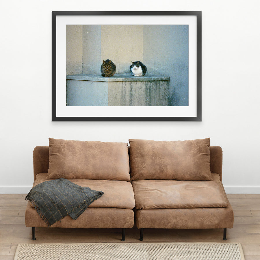 A tabby and a black and white cat loafed side by side on a stained concrete ledge at Ikeshima, with worn render walls meeting at a corner behind them.