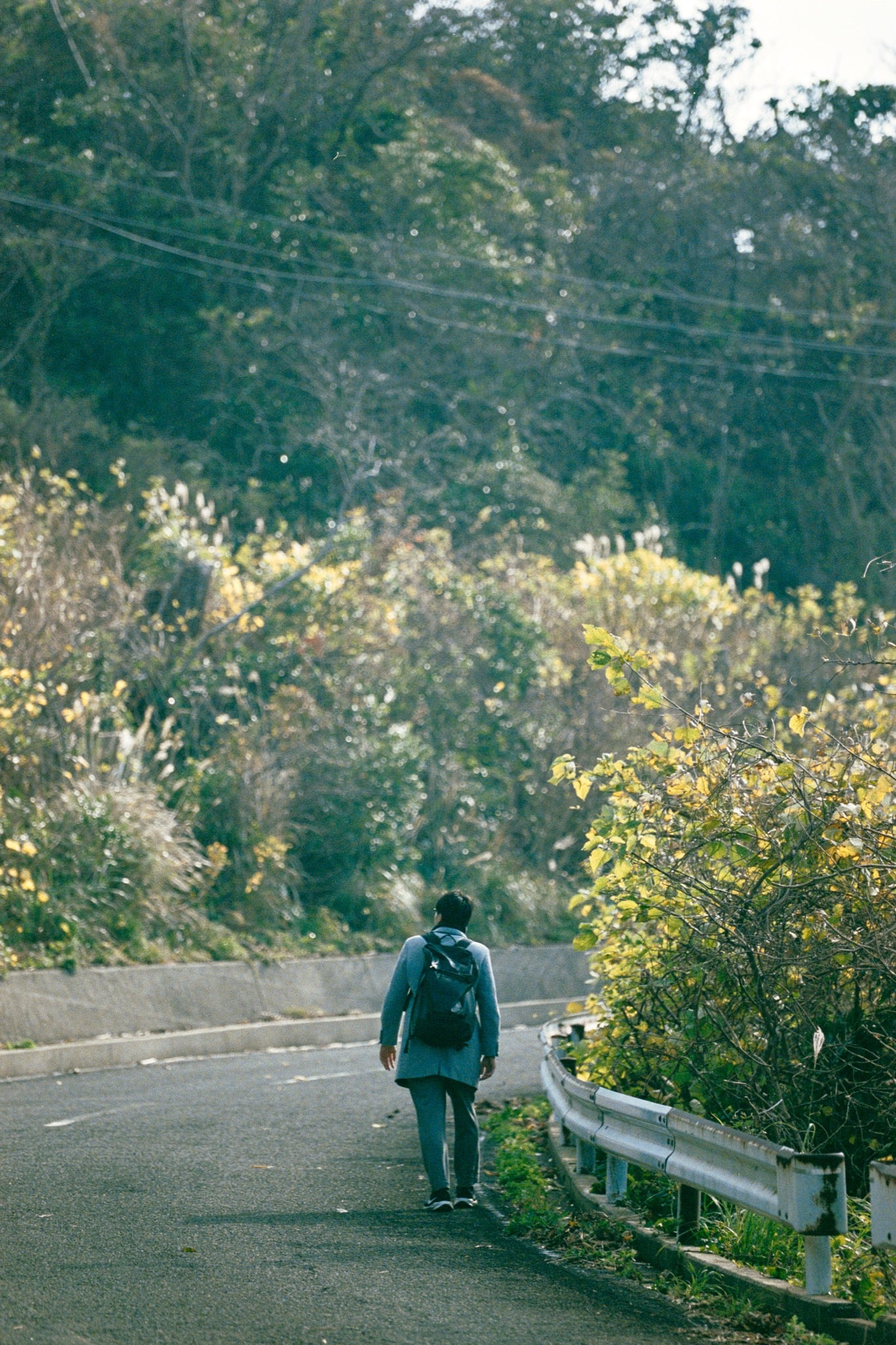 A person in a light blue coat walks away up a curving road on Ikeshima, his long shadow stretched across the asphalt and yellow-green scrub crowding the rusted guardrail to the right.