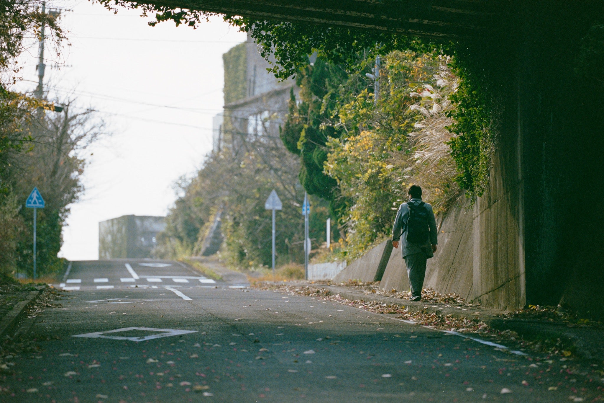 A figure walks away down a road at Ikeshima toward pale light under a concrete overpass, with ivy covering the retaining wall and a blue pedestrian sign still standing at the verge.