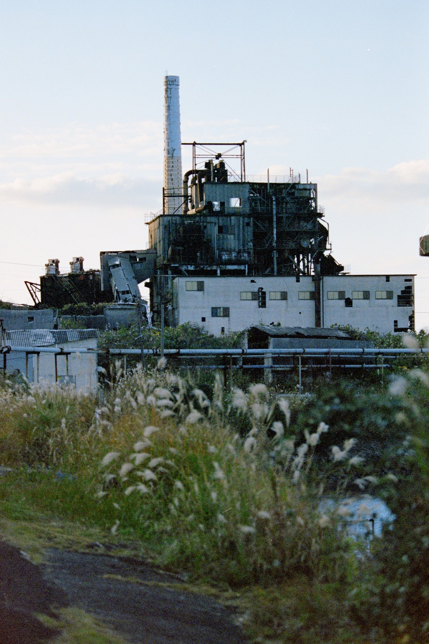 A slender white chimney and reinforced-concrete boiler house at Ikeshima, partly obscured by dense pale grasses, with a collapsed conveyor structure leading into the main block and yellowed window panes visible along the lower wall.