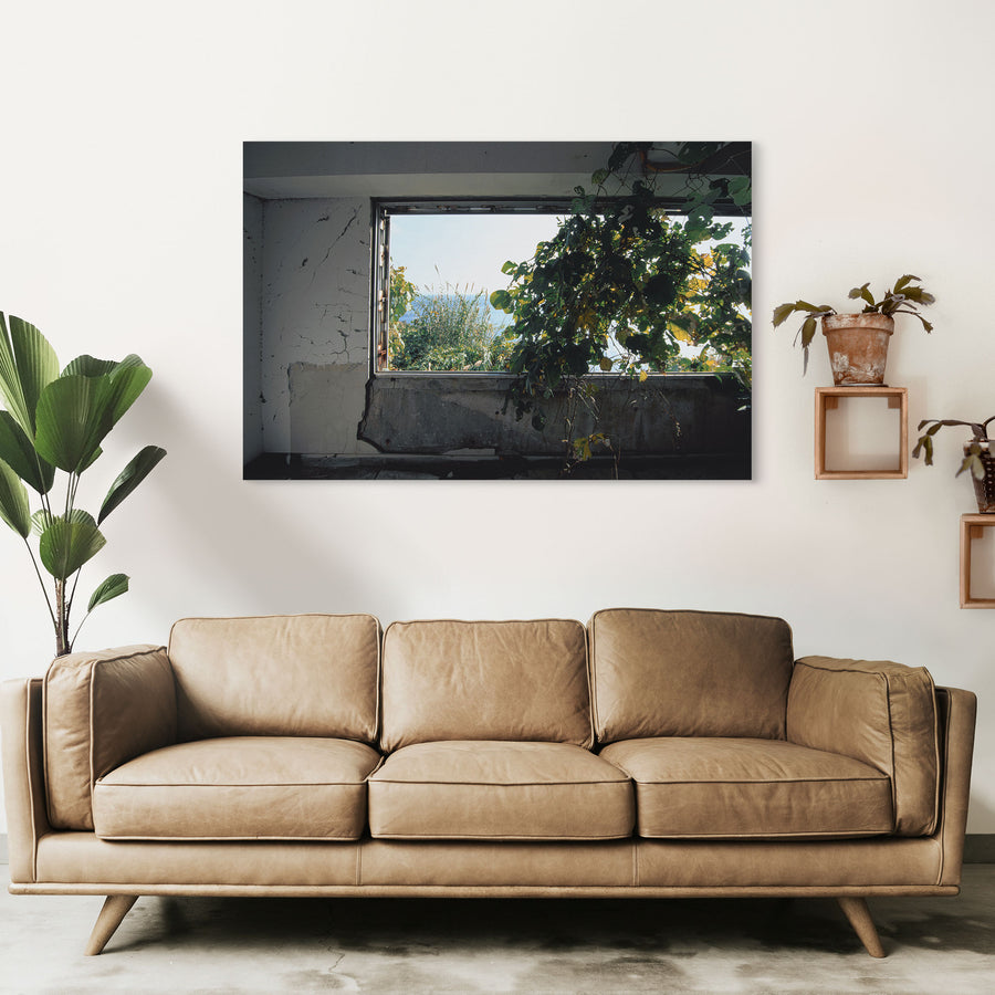 Cracked white plaster and bare concrete walls in the main mining office at Ikeshima, with broad-leafed vines growing in through a wide glassless window opening onto pale grass and open sea.