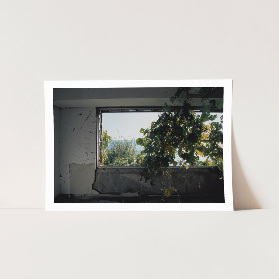 Cracked white plaster and bare concrete walls in the main mining office at Ikeshima, with broad-leafed vines growing in through a wide glassless window opening onto pale grass and open sea.