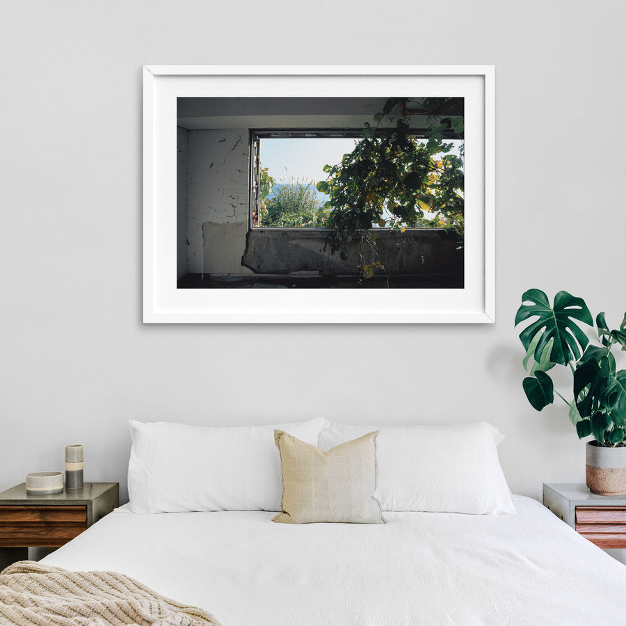 Cracked white plaster and bare concrete walls in the main mining office at Ikeshima, with broad-leafed vines growing in through a wide glassless window opening onto pale grass and open sea.