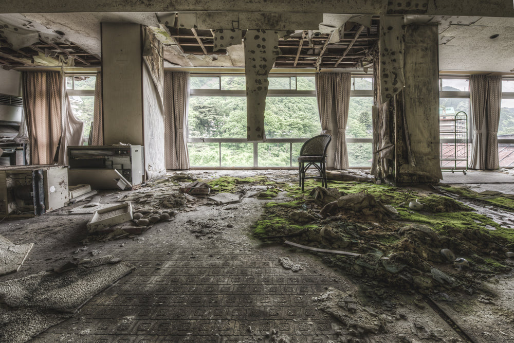 Dining Room at Kinugawa Kan, a thick mat of moss stretches across the floor, creeping over broken tiles and fallen plaster.