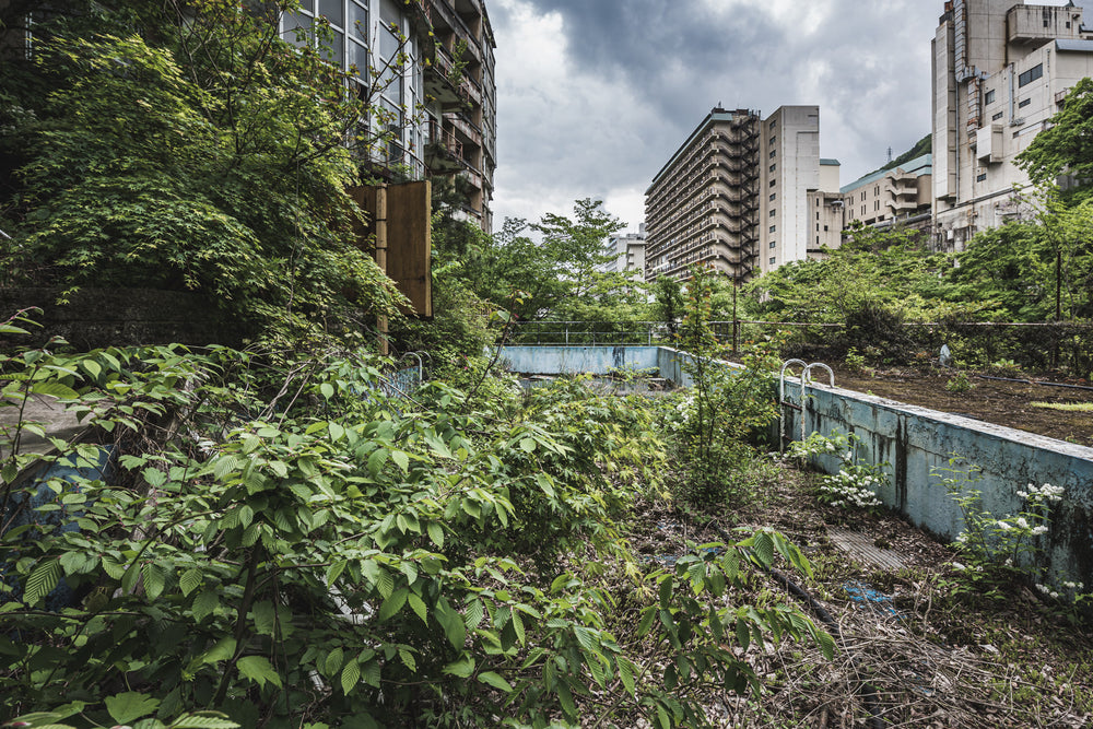 Public Bath at Kinugawa Kan, a pale blue swimming pool sits buried under dense green growth.
