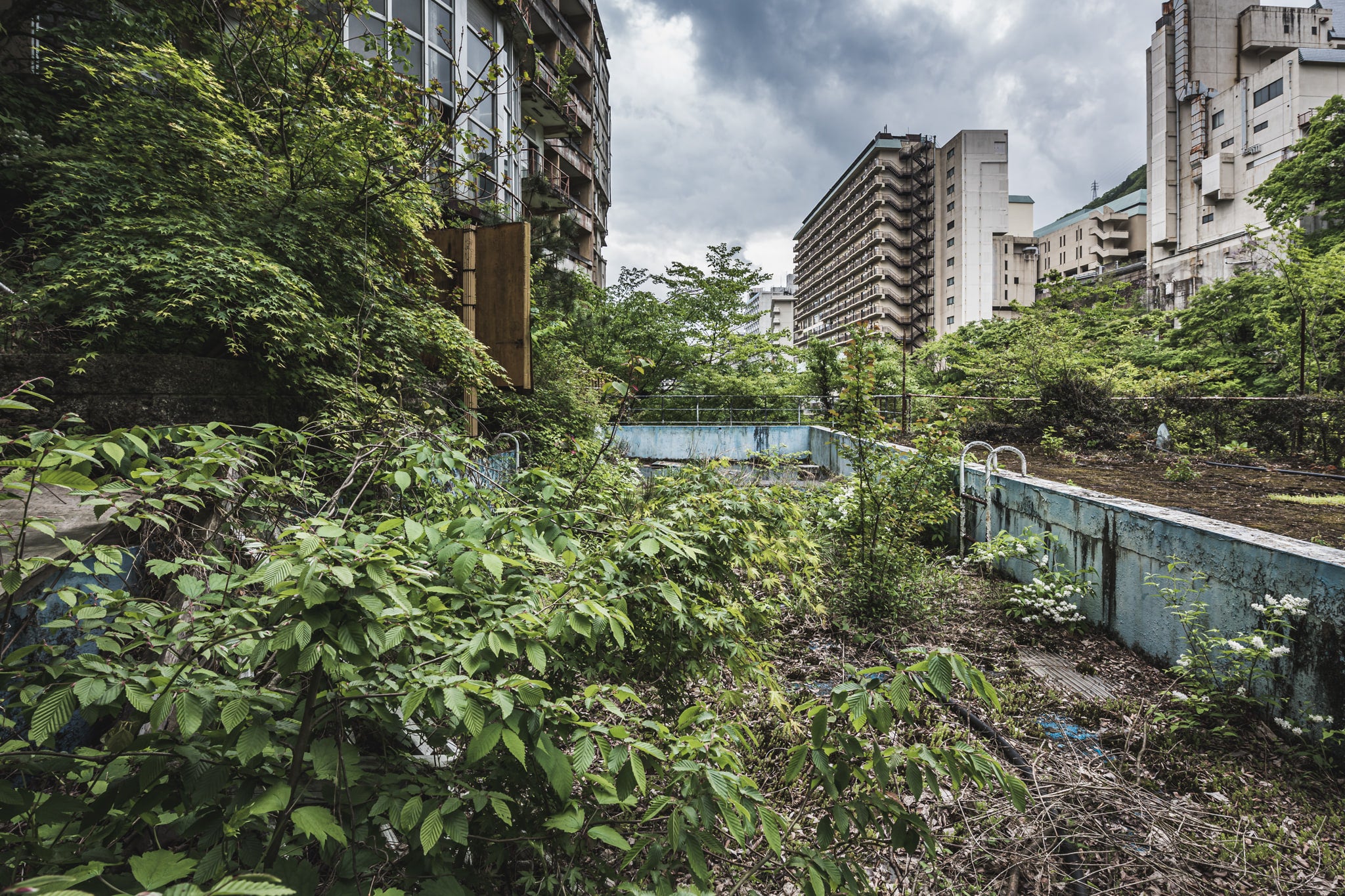 Public Bath at Kinugawa Kan, a pale blue swimming pool sits buried under dense green growth.