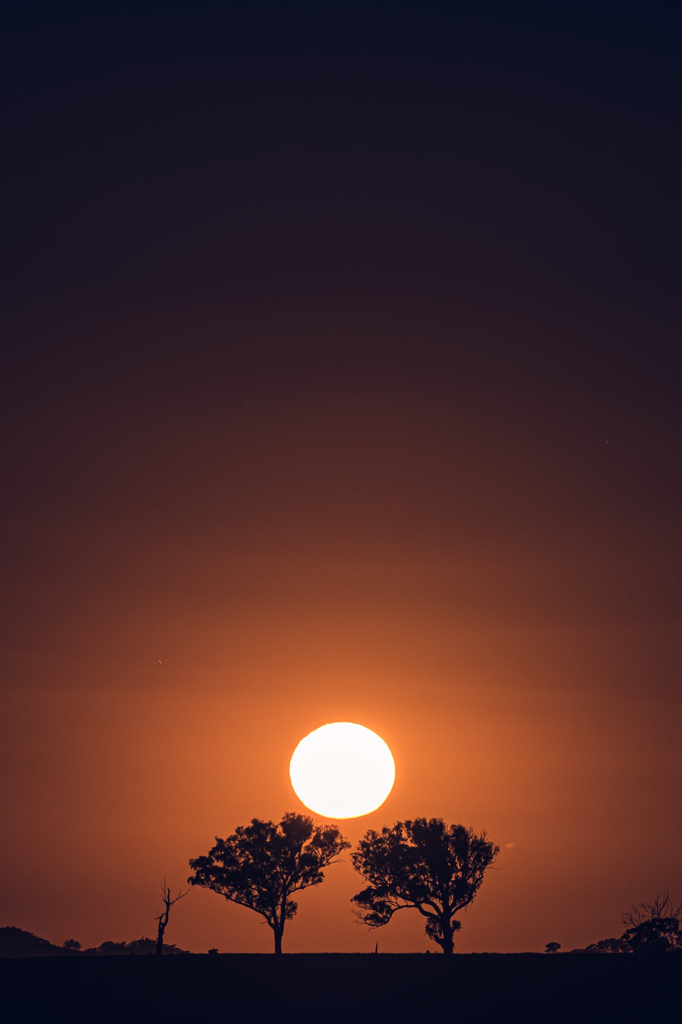 Blayney Moonrise at Landscapes, a supermoon rising over the Central West New South Wales township of Blayney.