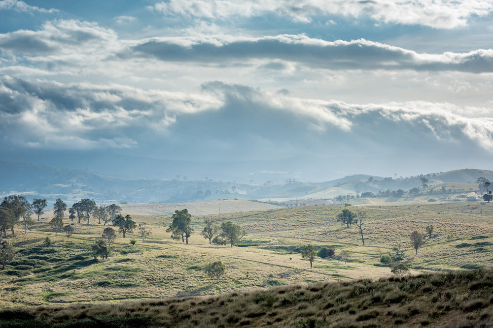 Blue Afternoon at Landscapes, looking over a farm on a cloudy afternoon in the Sapphire Coast hinterland.