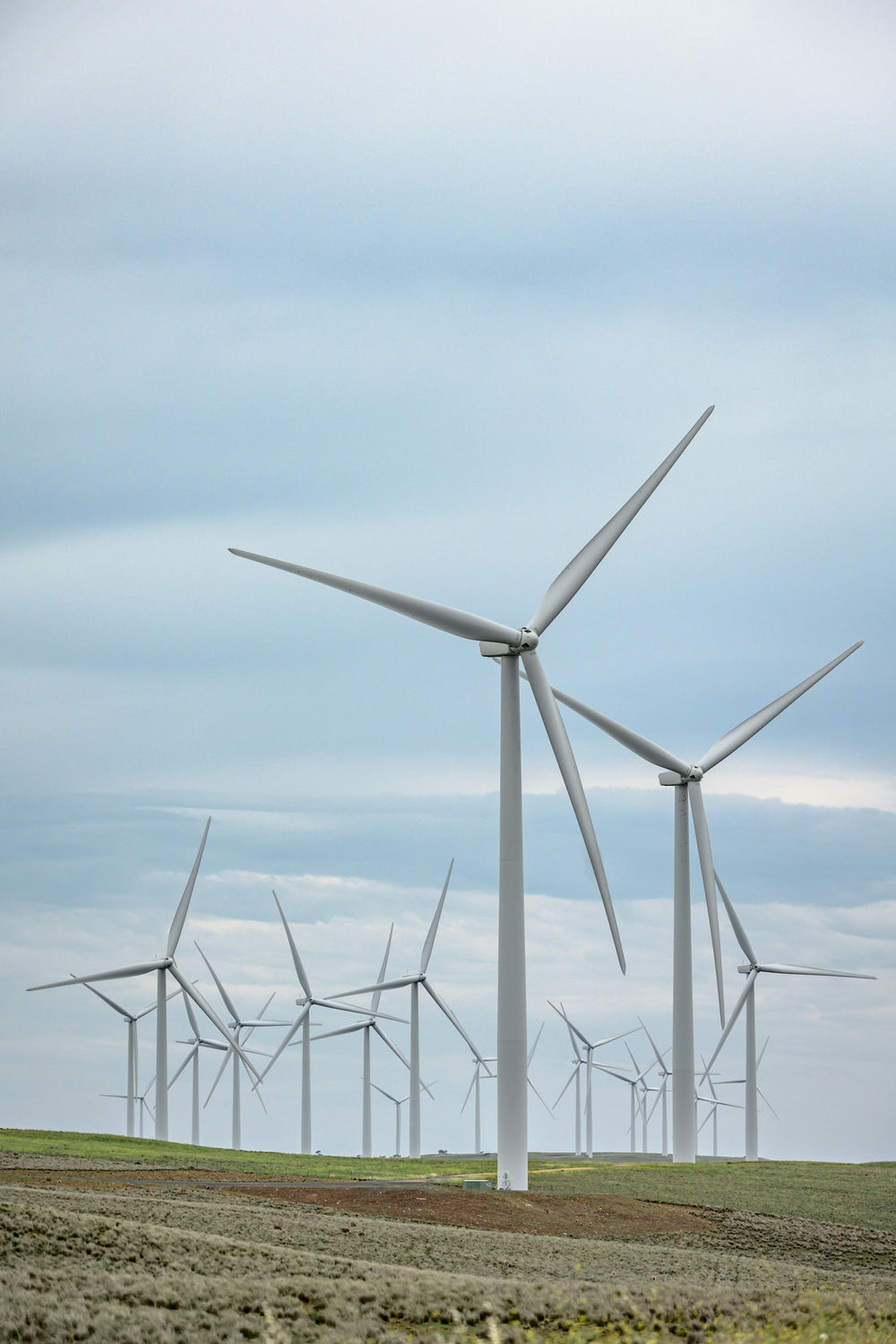 Cluster at Landscapes, white steel towers rise from low, green-brown pastureland under a flat grey sky.