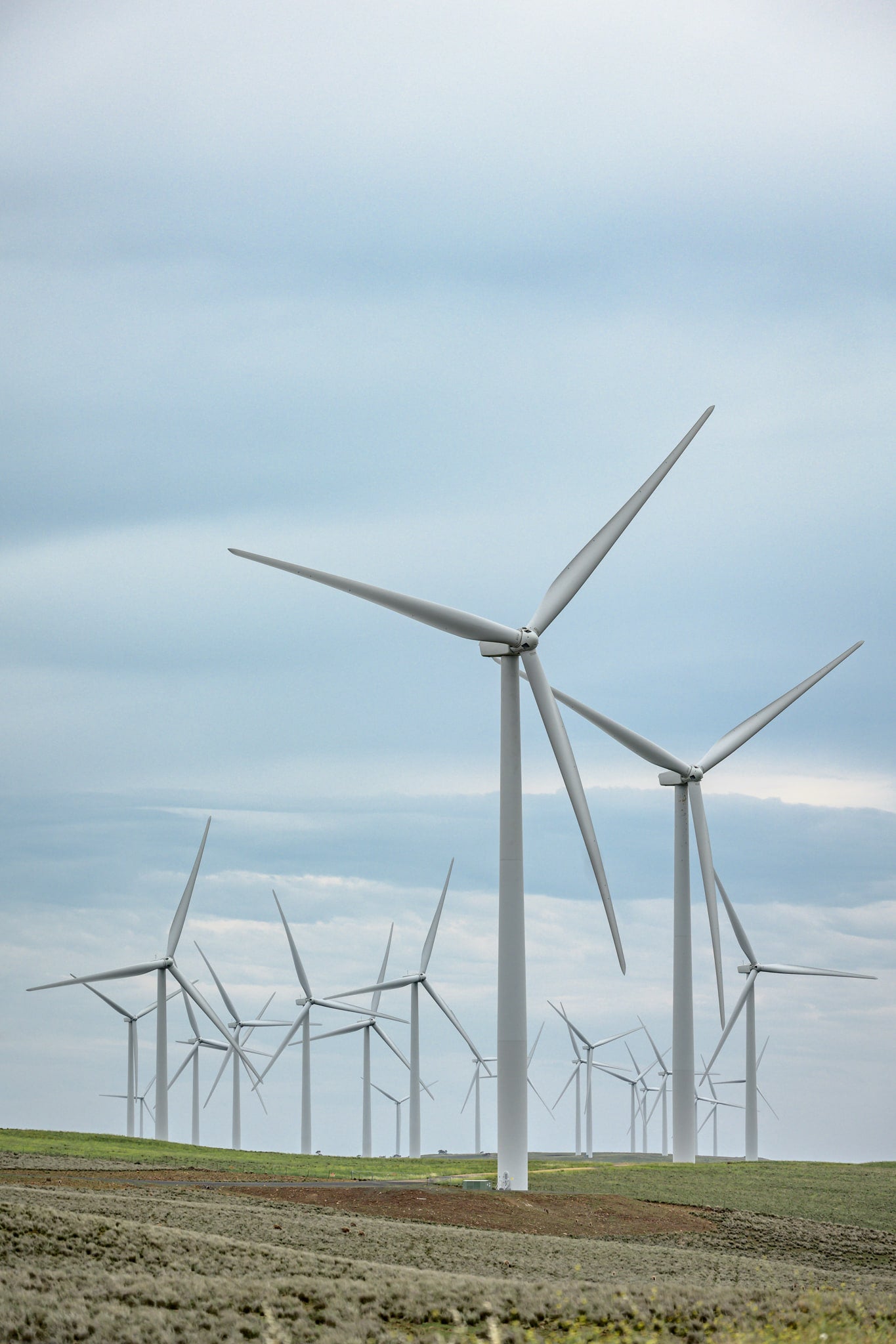Cluster at Landscapes, white steel towers rise from low, green-brown pastureland under a flat grey sky.