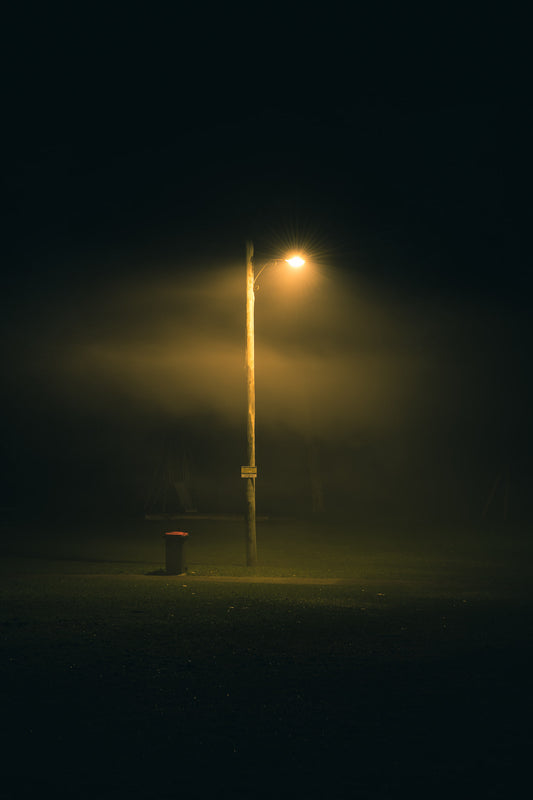 Dead Silence | Landscapes Fine Art Print - Lost Collective Shop