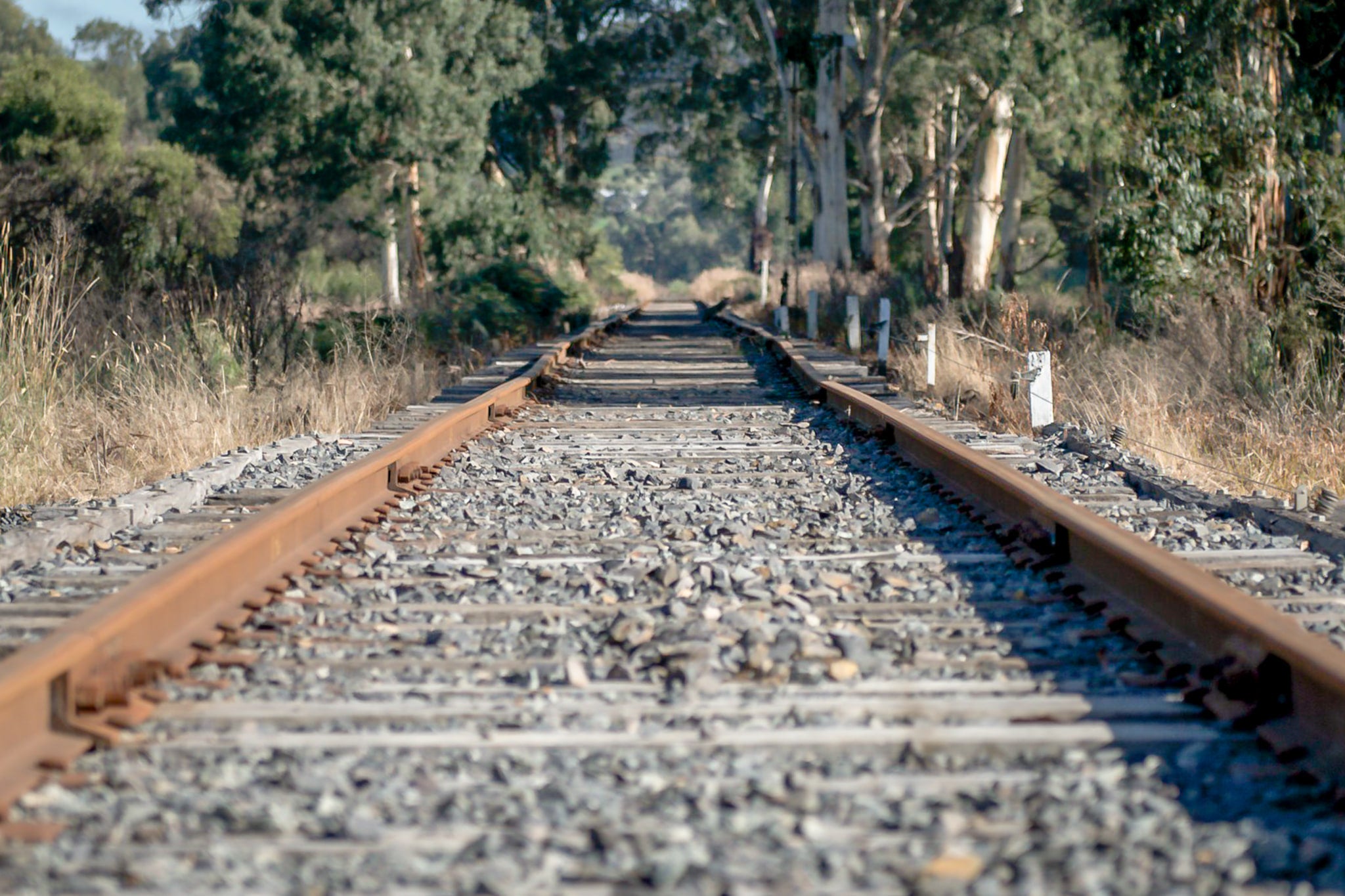 Healsville Railway at Landscapes, a disused railway running through a semi-rural region of the Yarra Valley.
