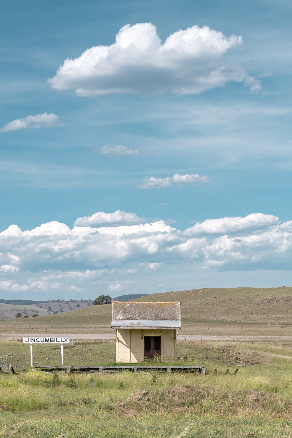Jincumbilly Station at Landscapes, a single cream-painted shelter sits on a low timber platform surrounded by open grassland.
