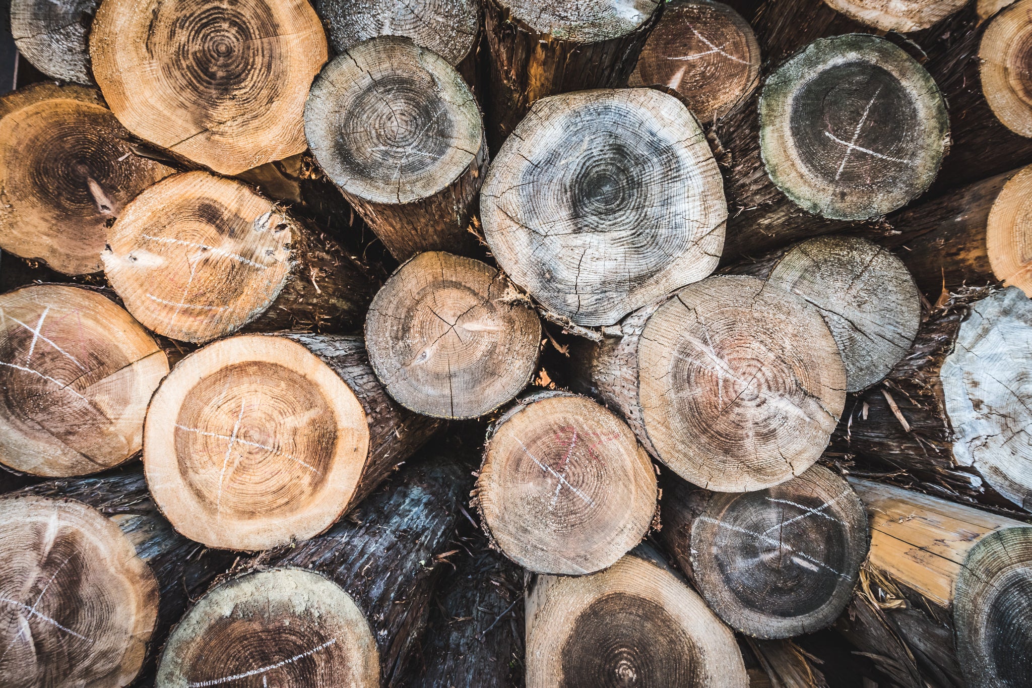 Log Stack at Landscapes, cut logs packed tight, end-grain facing out.