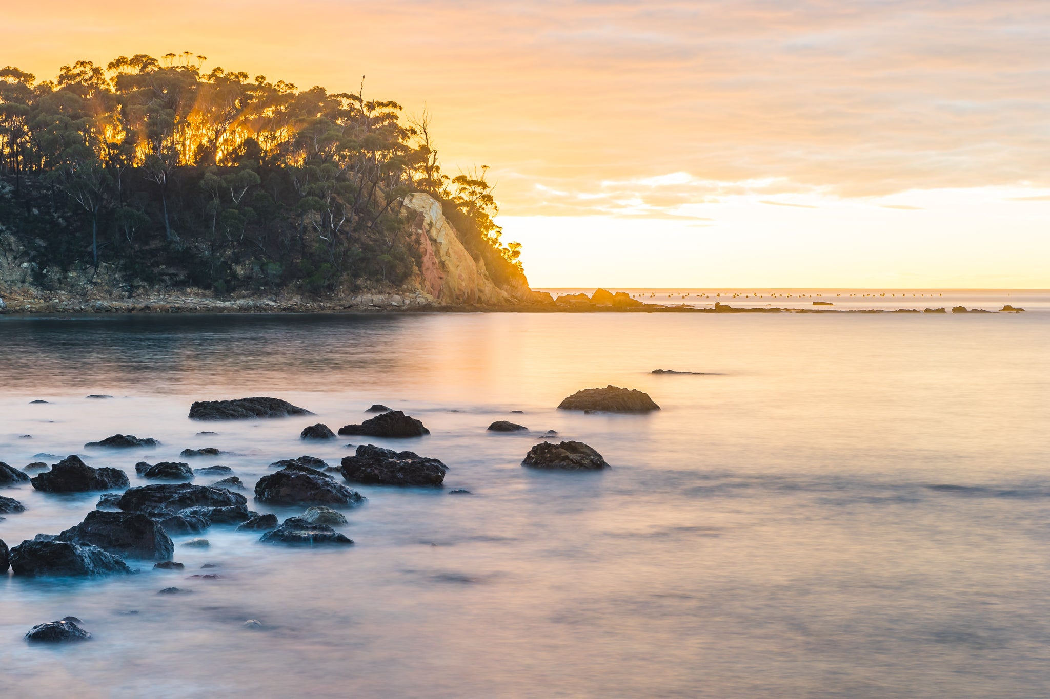 Murrumbulga Point at Landscapes, looking across Quarantine Bay with the sun rising over Oman Point.