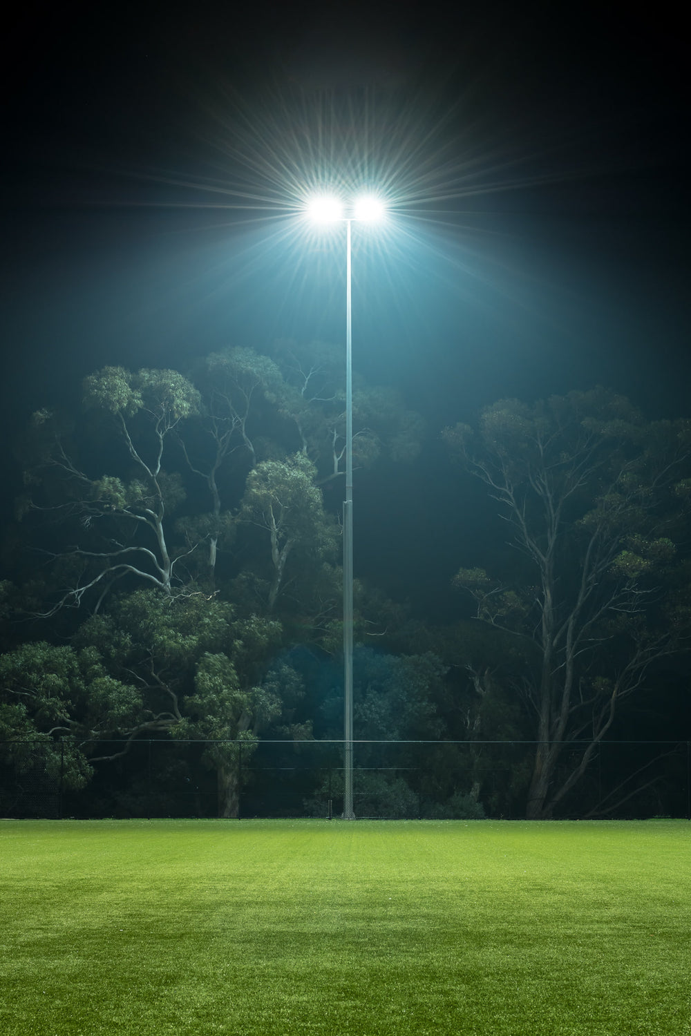 Nightlight at Landscapes, a single floodlight illuminates the night, standing tall against the backdrop of silhouetted trees.