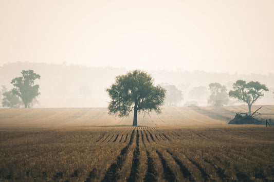 Solitude | Landscapes Fine Art Print - Lost Collective Shop
