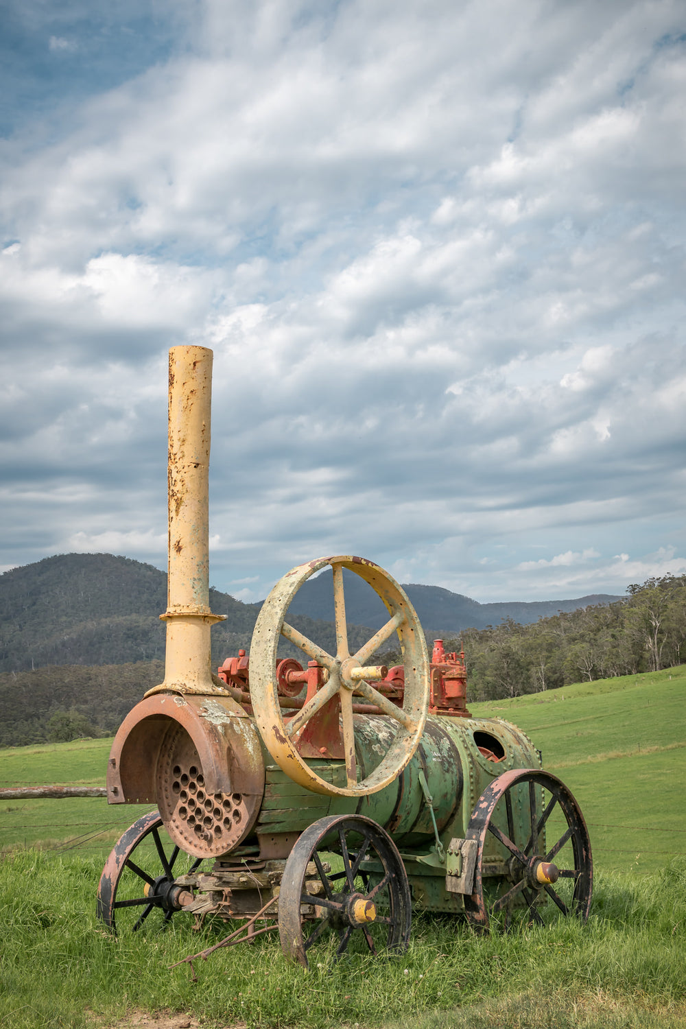 Steam Machine at Landscapes, a portable steam engine sits in open pasture, its iron wheels sunk into thick green grass.