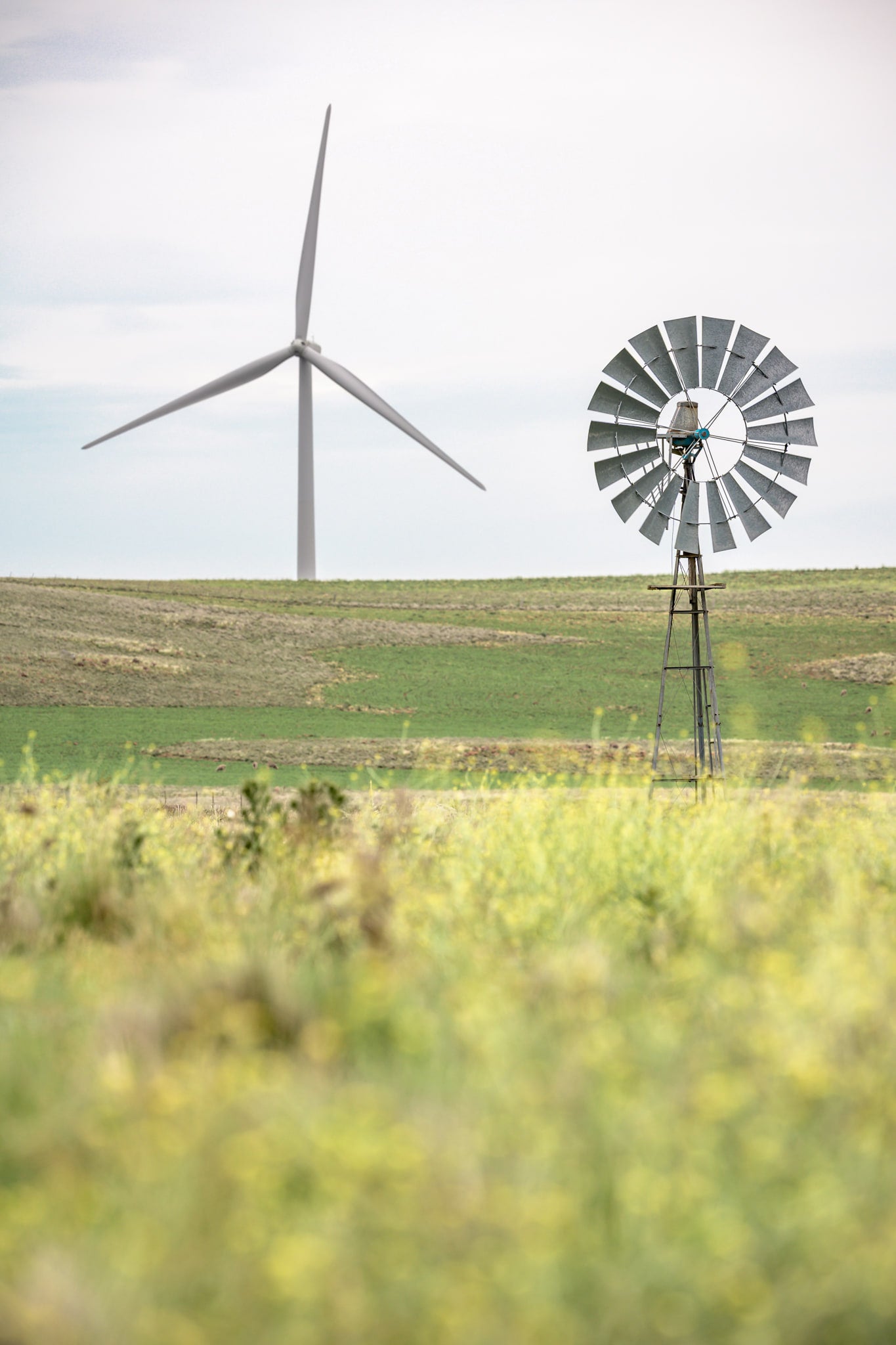 What Came Before at Landscapes, a galvanised multi-blade windmill stands on a steel lattice tower in the foreground.