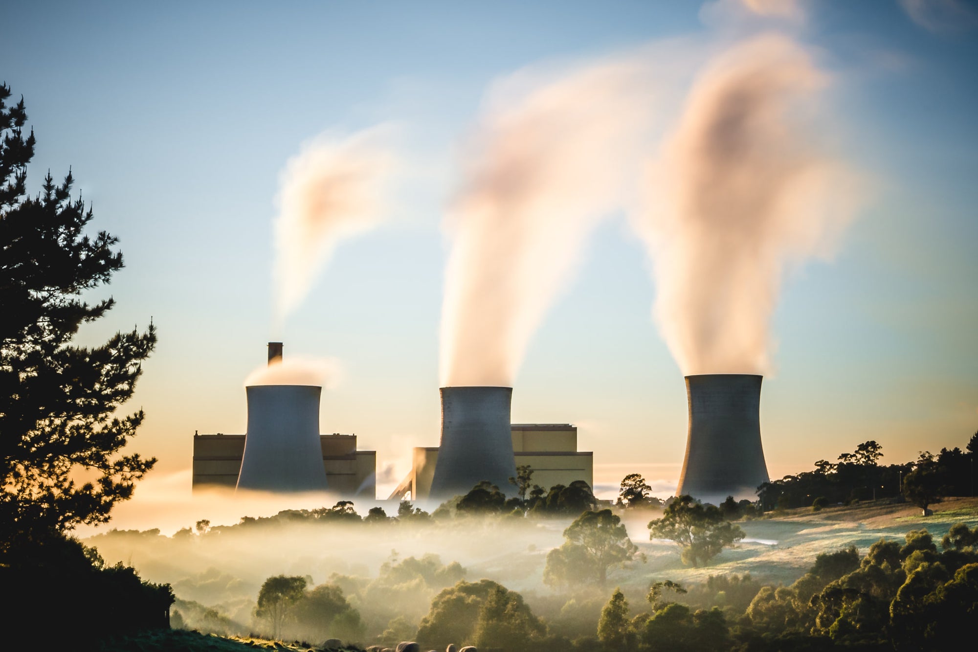 Yallourn Power Station at Landscapes, three cooling towers rise from a valley thick with morning fog.