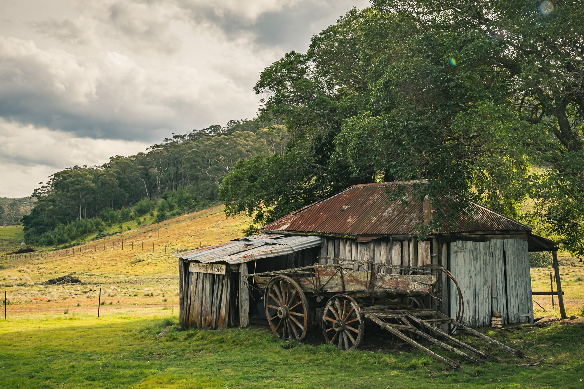 Hills at Leichhardt House, a weathered timber shed sits low against green pasture, its corrugated iron roof streaked deep.