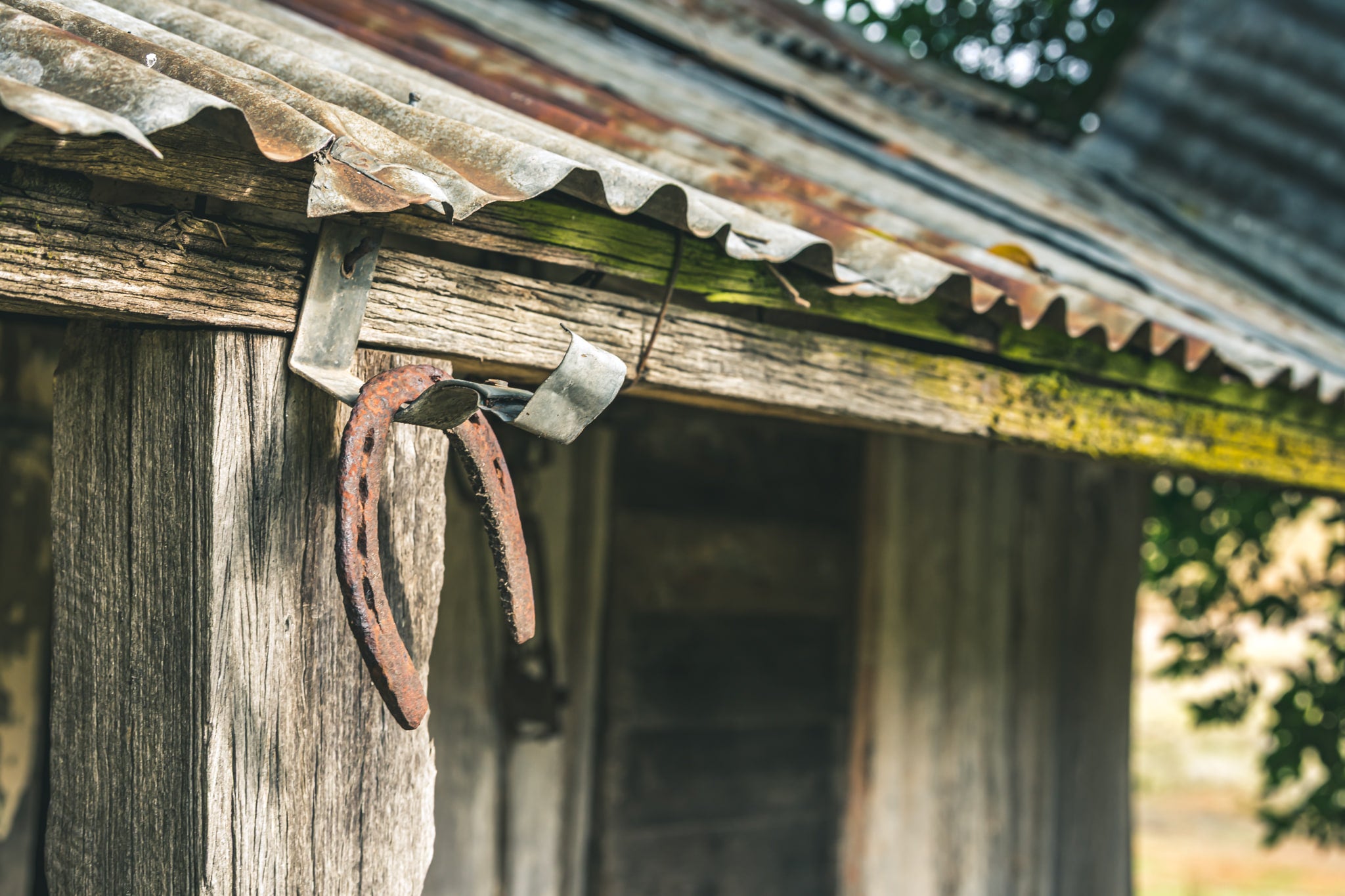Horseshoe at Leichhardt House, two rusted horseshoes hang from a bent nail on a hardwood post.