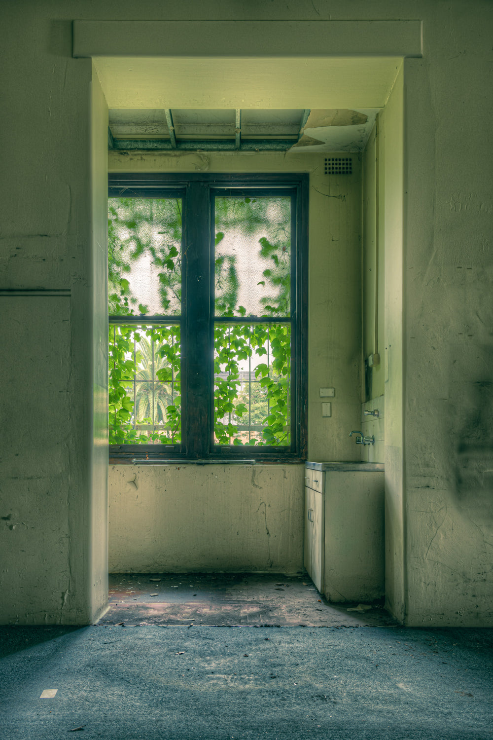 Emerald City at Lewisham Hospital, green light fills a small utility room through a four-pane window almost entirely.
