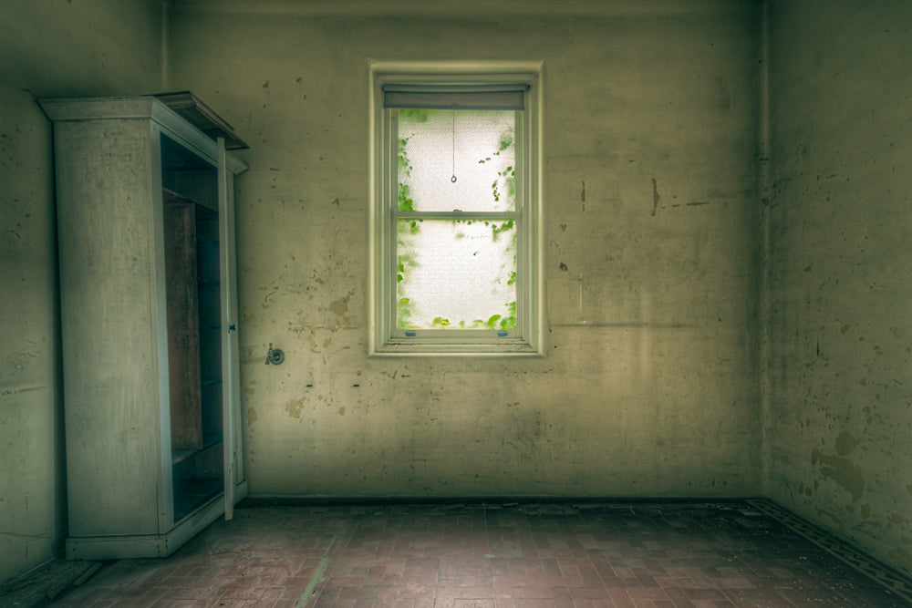 Frost at Lewisham Hospital, a single window fills the centre of a bare room.