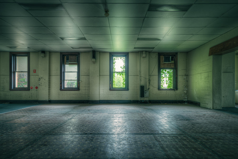 Hollow Room at Lewisham Hospital, green light filters through five windows, thick with vine growth pressing against.
