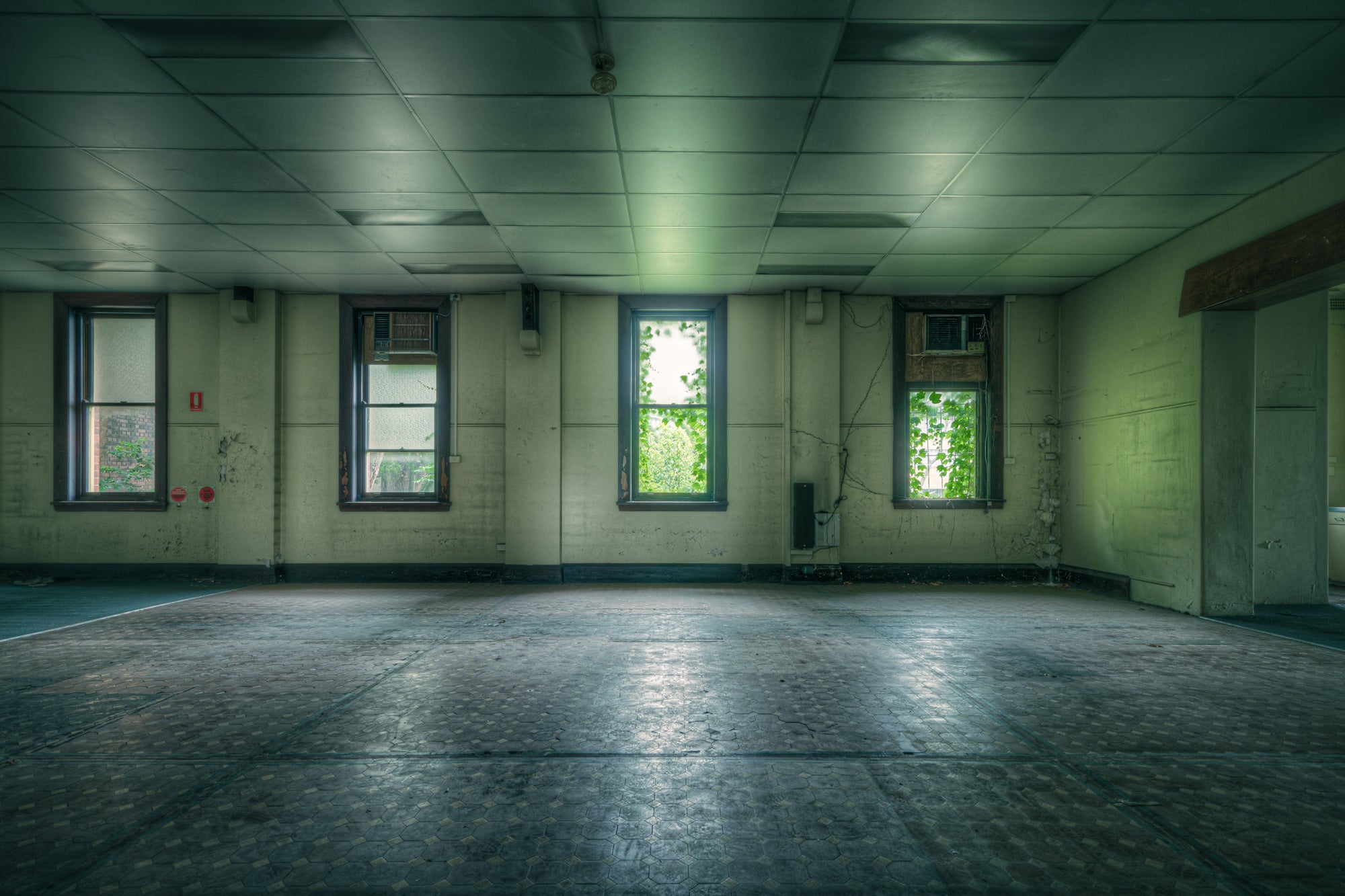 Hollow Room at Lewisham Hospital, green light filters through five windows, thick with vine growth pressing against.