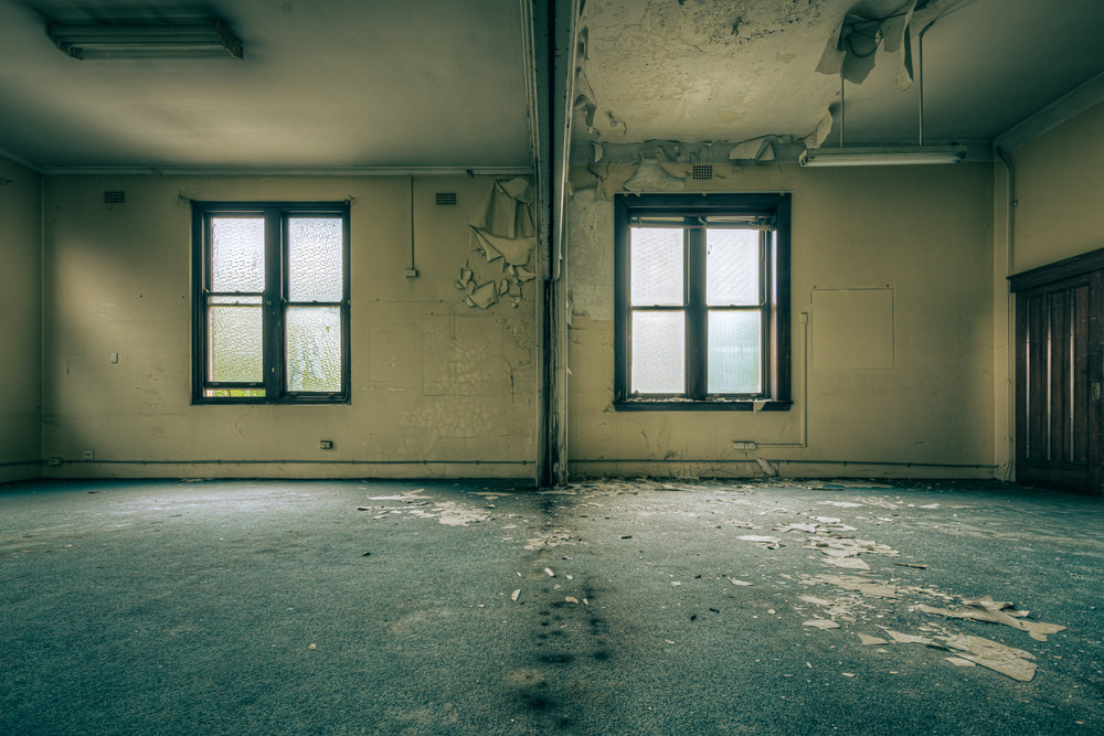 Split at Lewisham Hospital, two frosted-glass windows sit on adjacent walls, their dark timber frames squaring off dull.