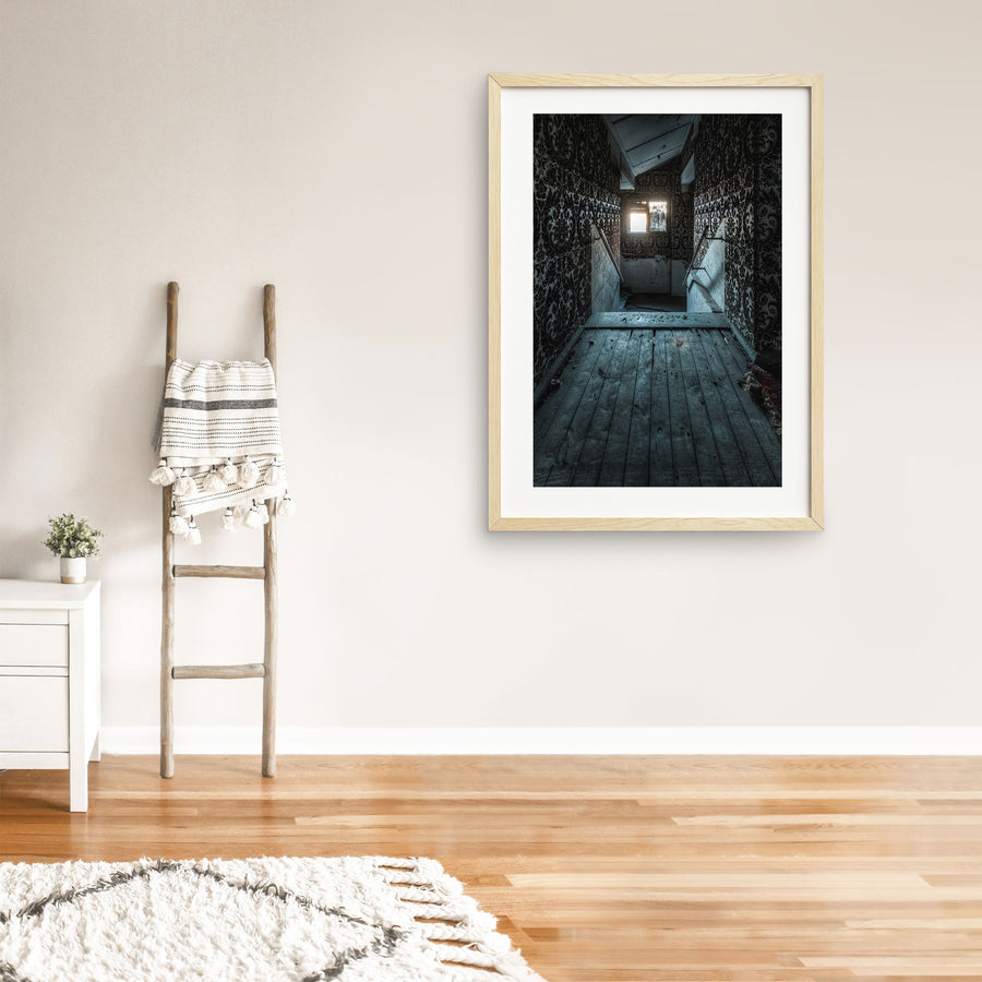 Timber Corridor