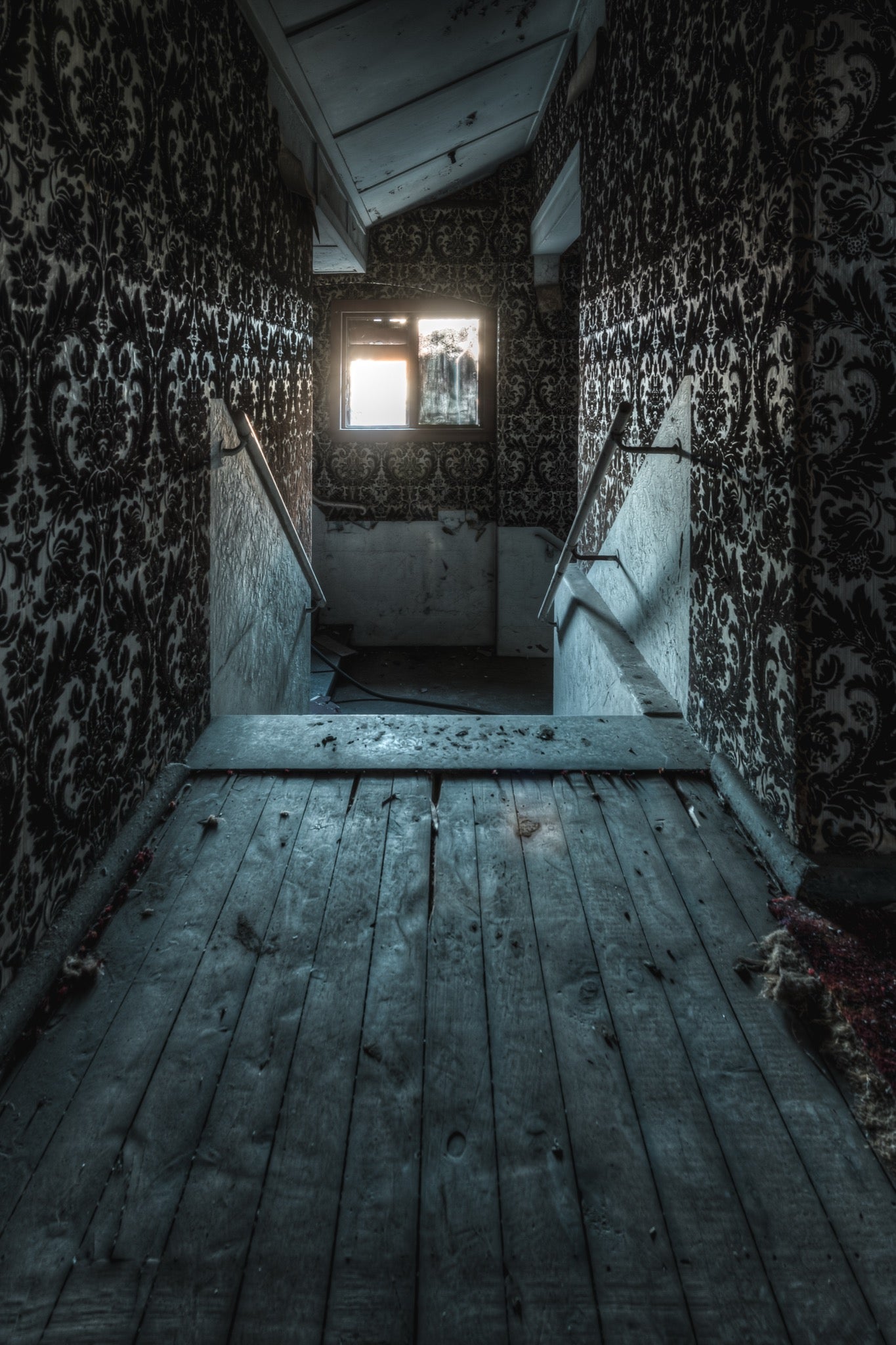 Timber Corridor