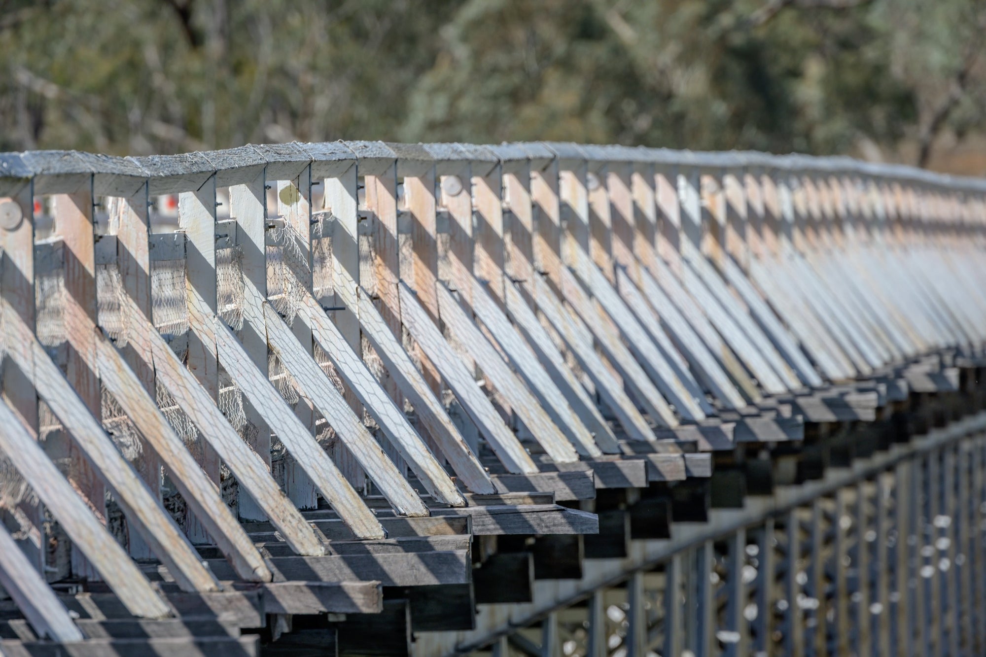 Close view along the weathered white-painted timber side railing of McKillops Bridge in the Deddick Valley, angled balusters and a diagonal top rail receding into blurred bushland.