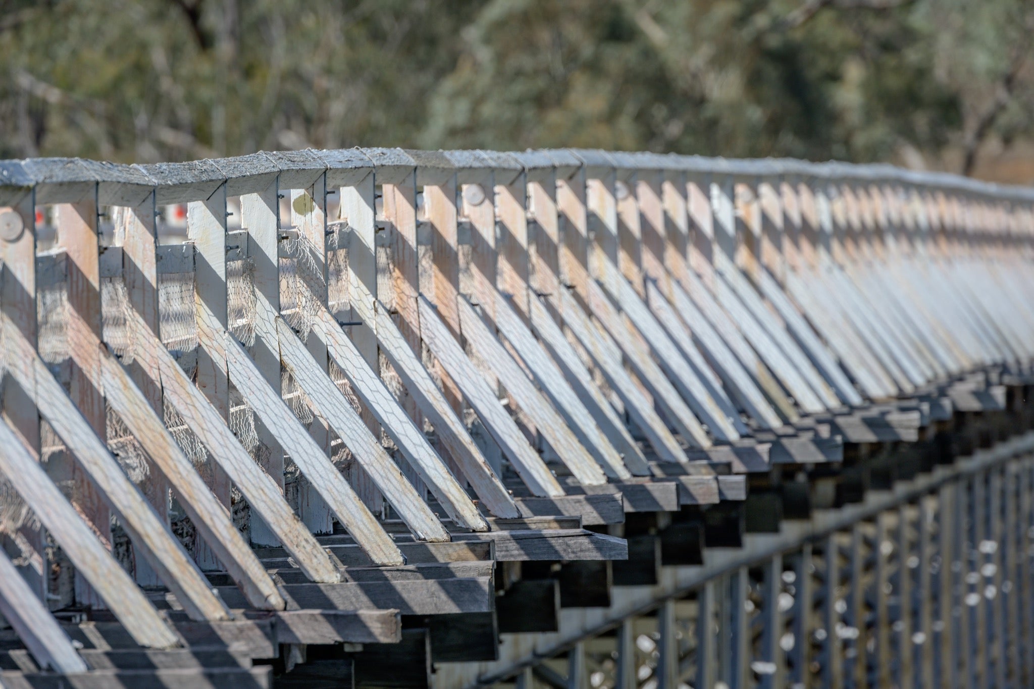 Close view along the weathered white-painted timber side railing of McKillops Bridge in the Deddick Valley, angled balusters and a diagonal top rail receding into blurred bushland.