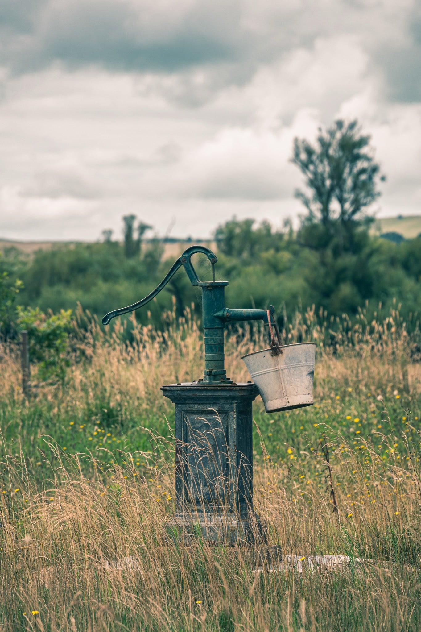 A green cast iron hand pump on a square pedestal in tall grass, with a galvanised bucket hung from the spout, in a paddock at Jembaicumbene.