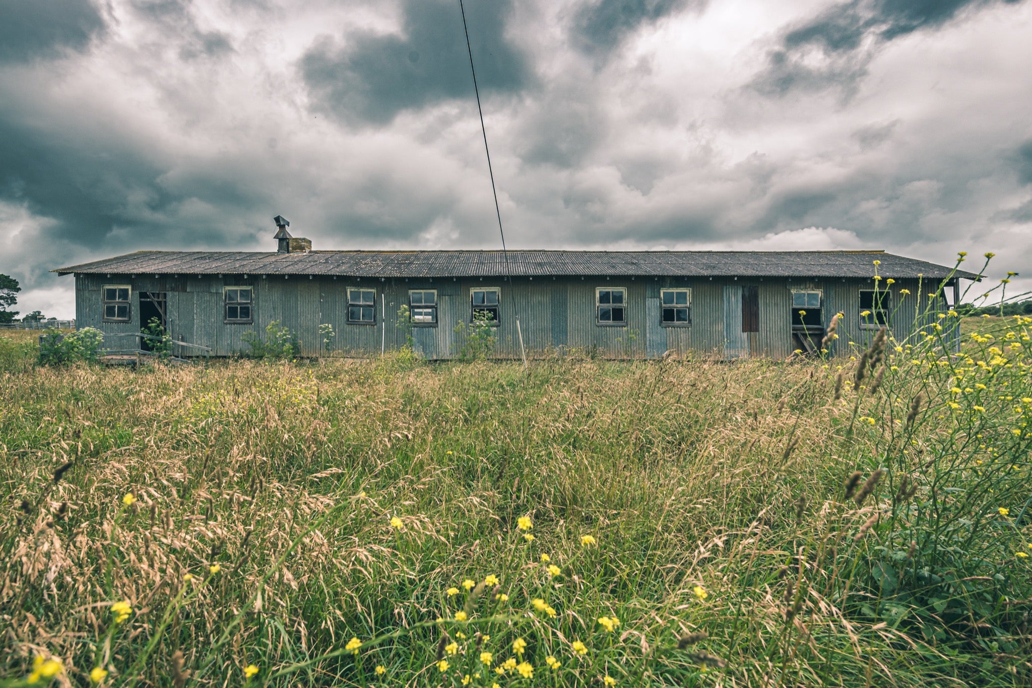 A long, weathered corrugated iron shed with timber-framed windows stands behind tall summer grass and yellow wildflowers at Jembaicumbene, New South Wales, under an overcast sky.
