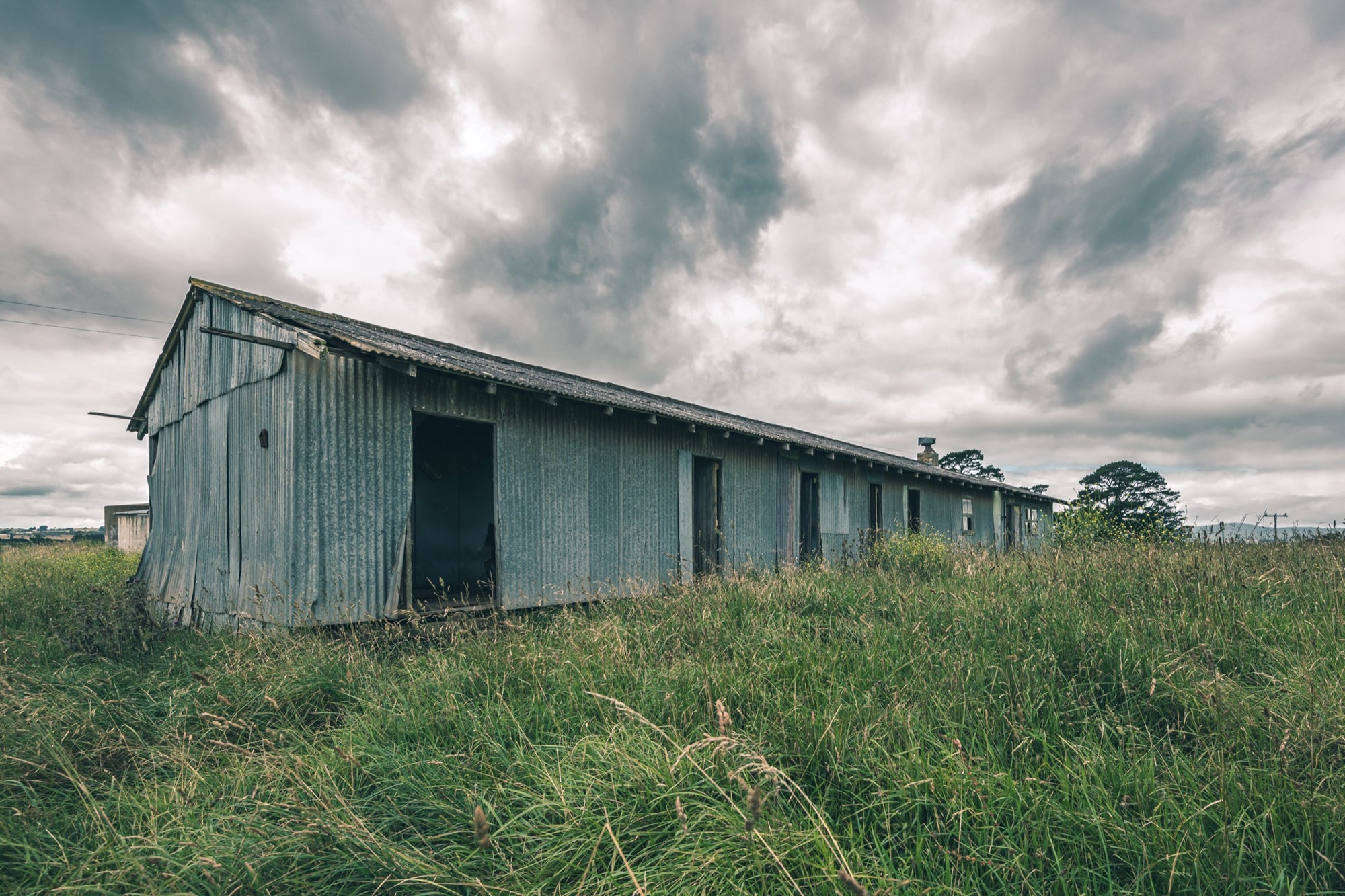 A weathered corrugated iron building with empty window openings and an open doorway stands in tall grass at Jembaicumbene, New South Wales.