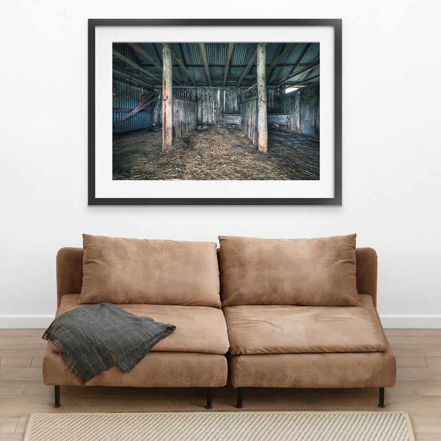 Timber shed interior at Braidwood, two trunk posts rising from a straw-covered floor.