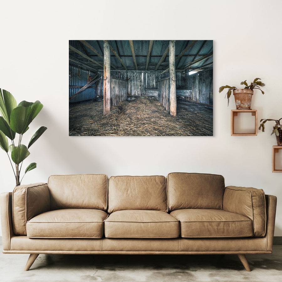 Timber shed interior at Braidwood, two trunk posts rising from a straw-covered floor.