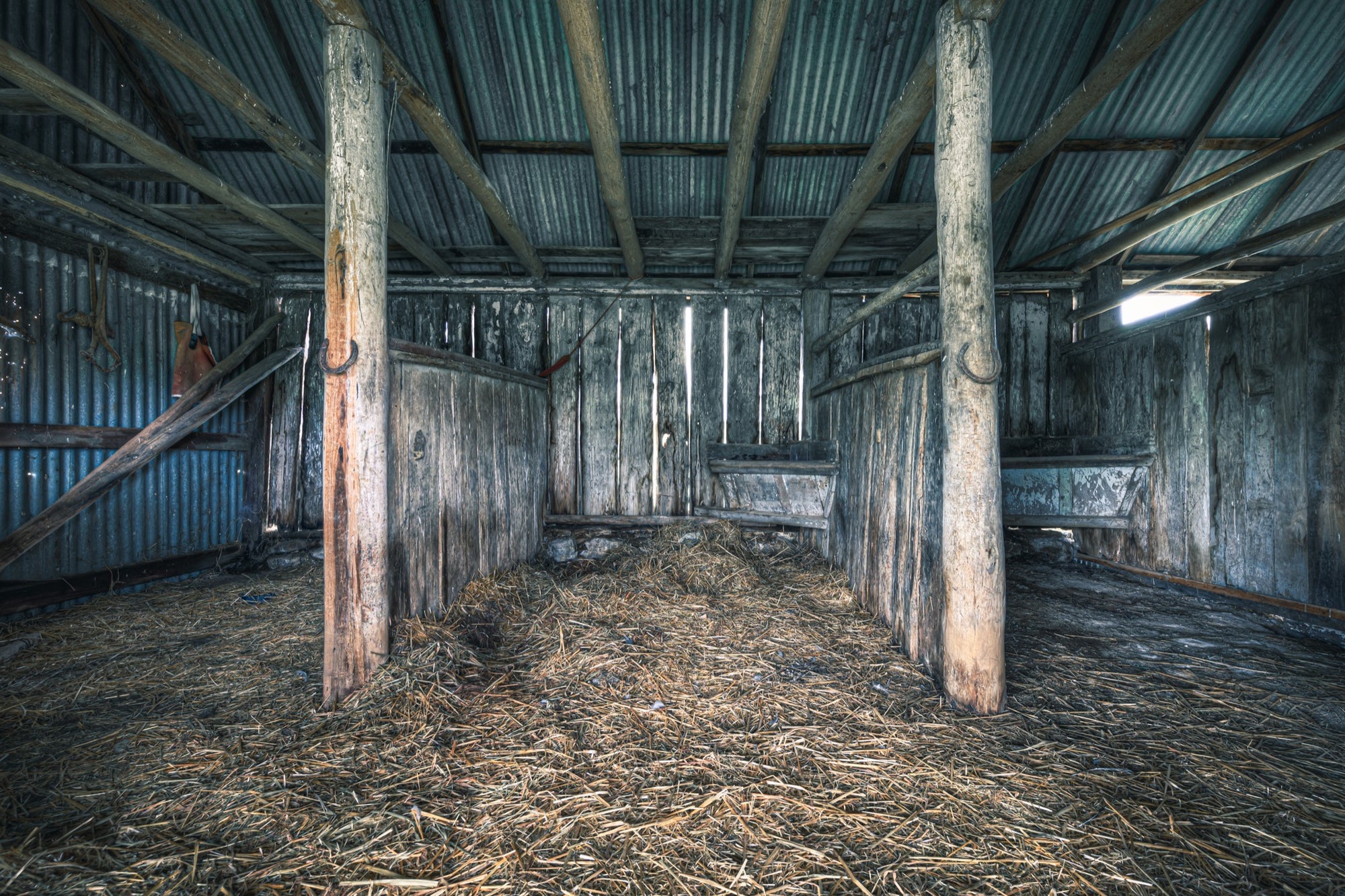 Timber shed interior at Braidwood, two trunk posts rising from a straw-covered floor.