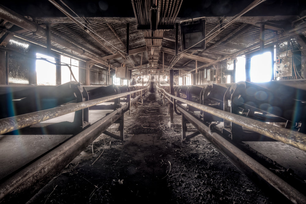Bunker to Wet Section Conveyor at Morwell Power Station, inside the enclosed conveyor, coal dust had settled so deeply it.