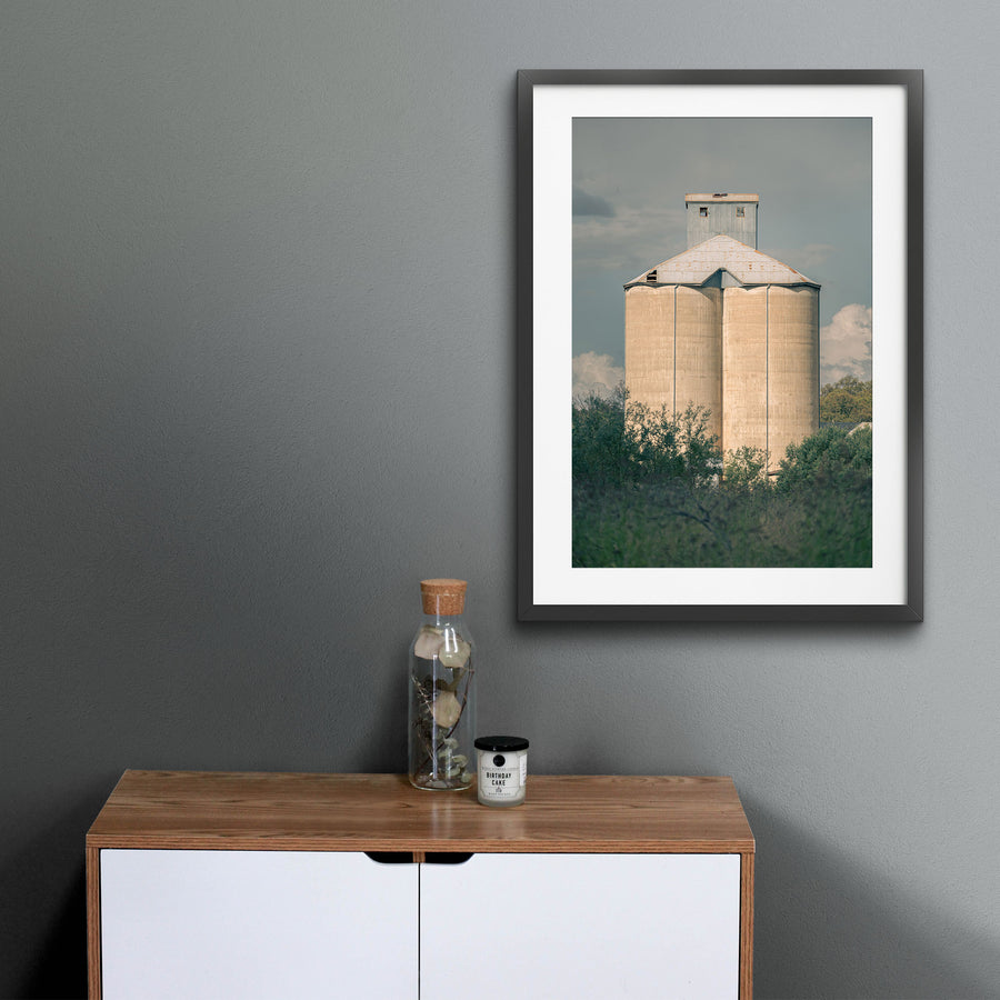 Weathered concrete grain silo cells rising behind a row of trees and low scrub at Mount Russell, with a corrugated metal roof and tall headhouse visible above the canopy.