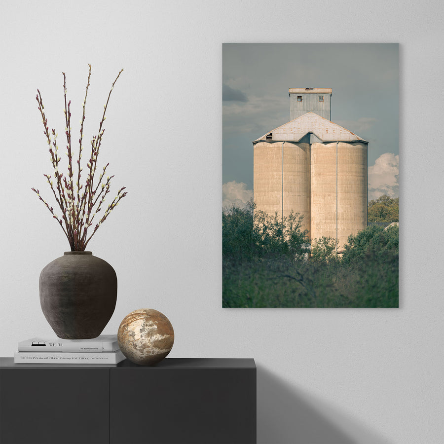 Weathered concrete grain silo cells rising behind a row of trees and low scrub at Mount Russell, with a corrugated metal roof and tall headhouse visible above the canopy.