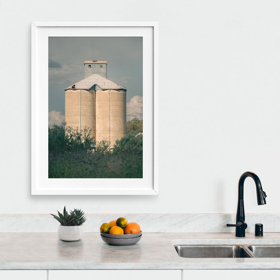 Weathered concrete grain silo cells rising behind a row of trees and low scrub at Mount Russell, with a corrugated metal roof and tall headhouse visible above the canopy.