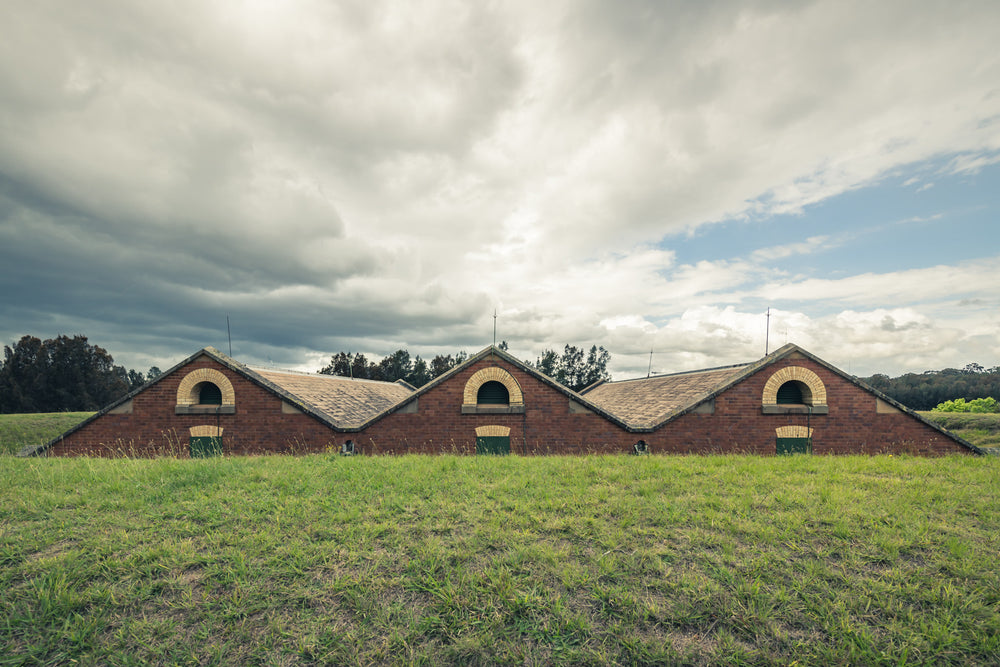 Magazine Roof at Newington Armory, three sawtooth rooflines rise from an earth embankment, red brick gables barely clearing.