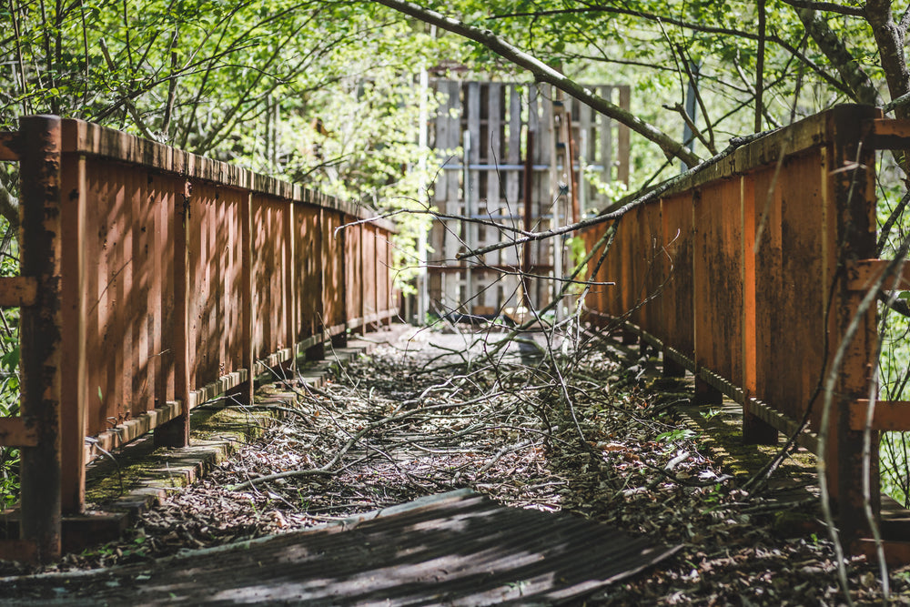Bridge at Nichitsu Mining Village, a steel pedestrian bridge sits buried under fallen branches and leaf litter.