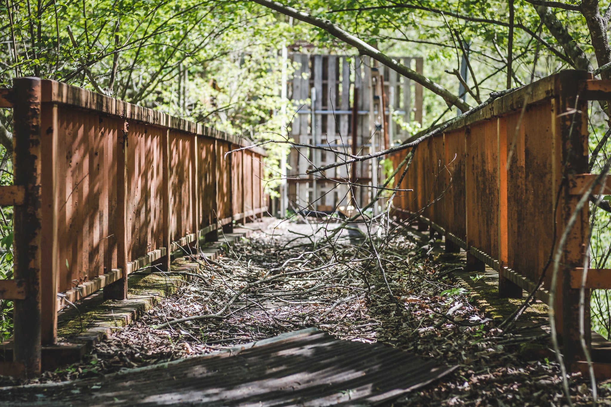 Bridge at Nichitsu Mining Village, a steel pedestrian bridge sits buried under fallen branches and leaf litter.