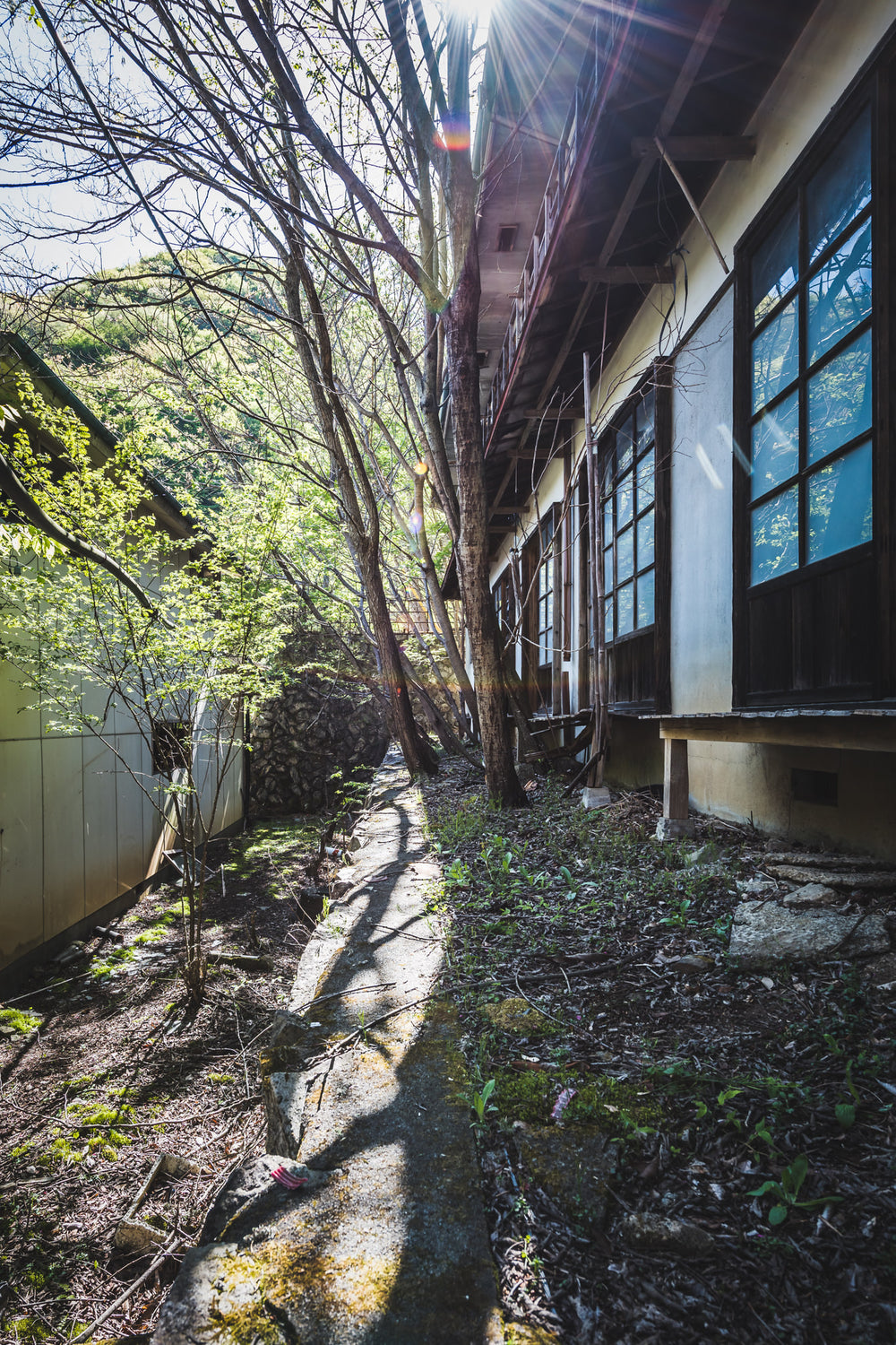 Garden at Nichitsu Mining Village, a narrow passage runs between a traditional Japanese timber-frame house and a corrugated.
