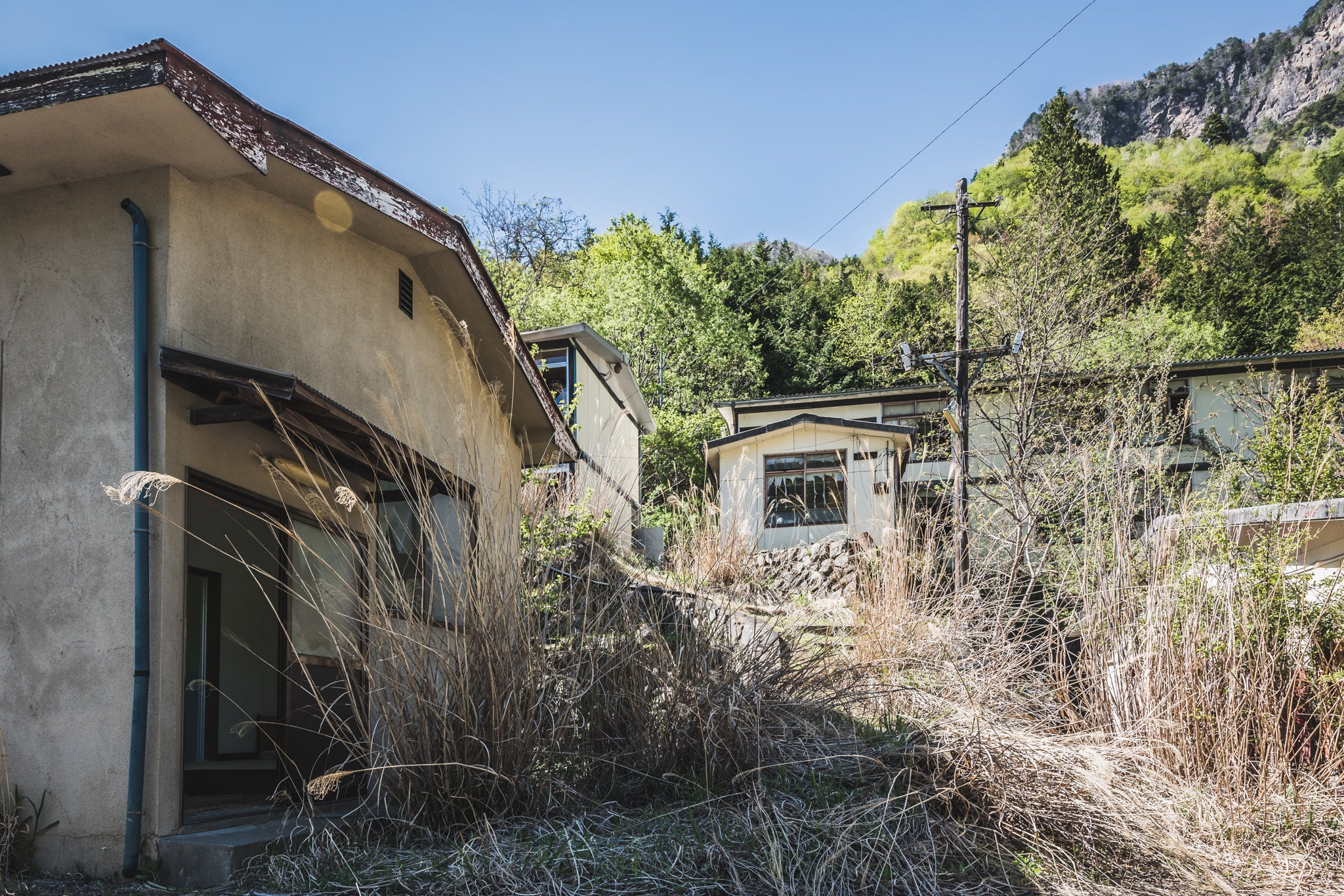 Overgrowth at Nichitsu Mining Village, looking upwards from the central part of the village towards some of the public.